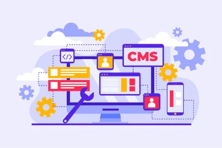 Custom CMS Development by Veborra